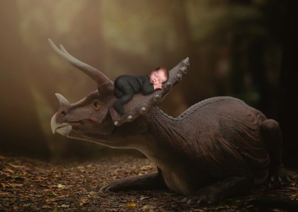 DinosaurFantasyDigitalBackground copy 2