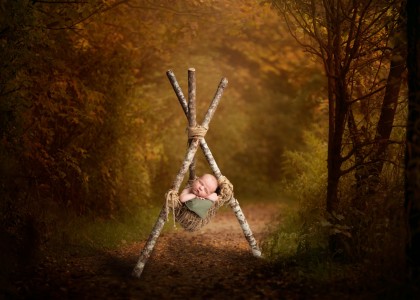 FallForestSamsDreamThemes03